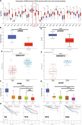 Increased expression of the RNA-binding protein Musashi-2 is associated with immune infiltration and predicts better outcomes in ccRCC patients
